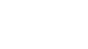 Next Flow-logga